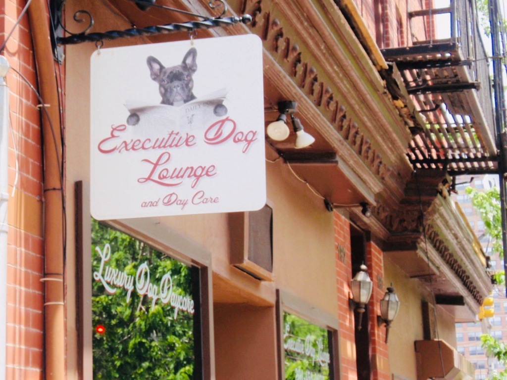 Executive Dog Lounge Jersey City NJ